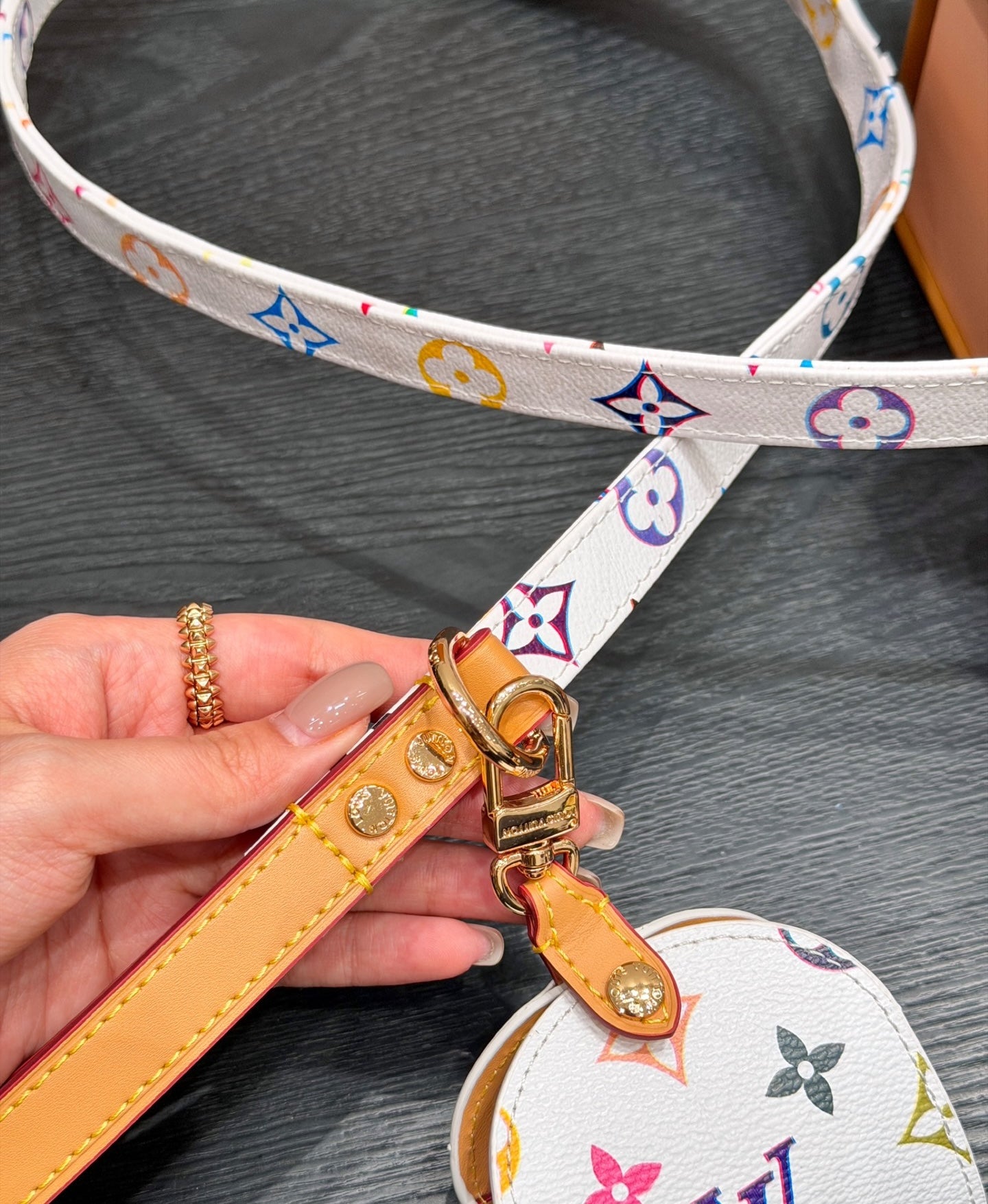 LV DOG HARNESS AND LEASH (MULTICOLOUR)