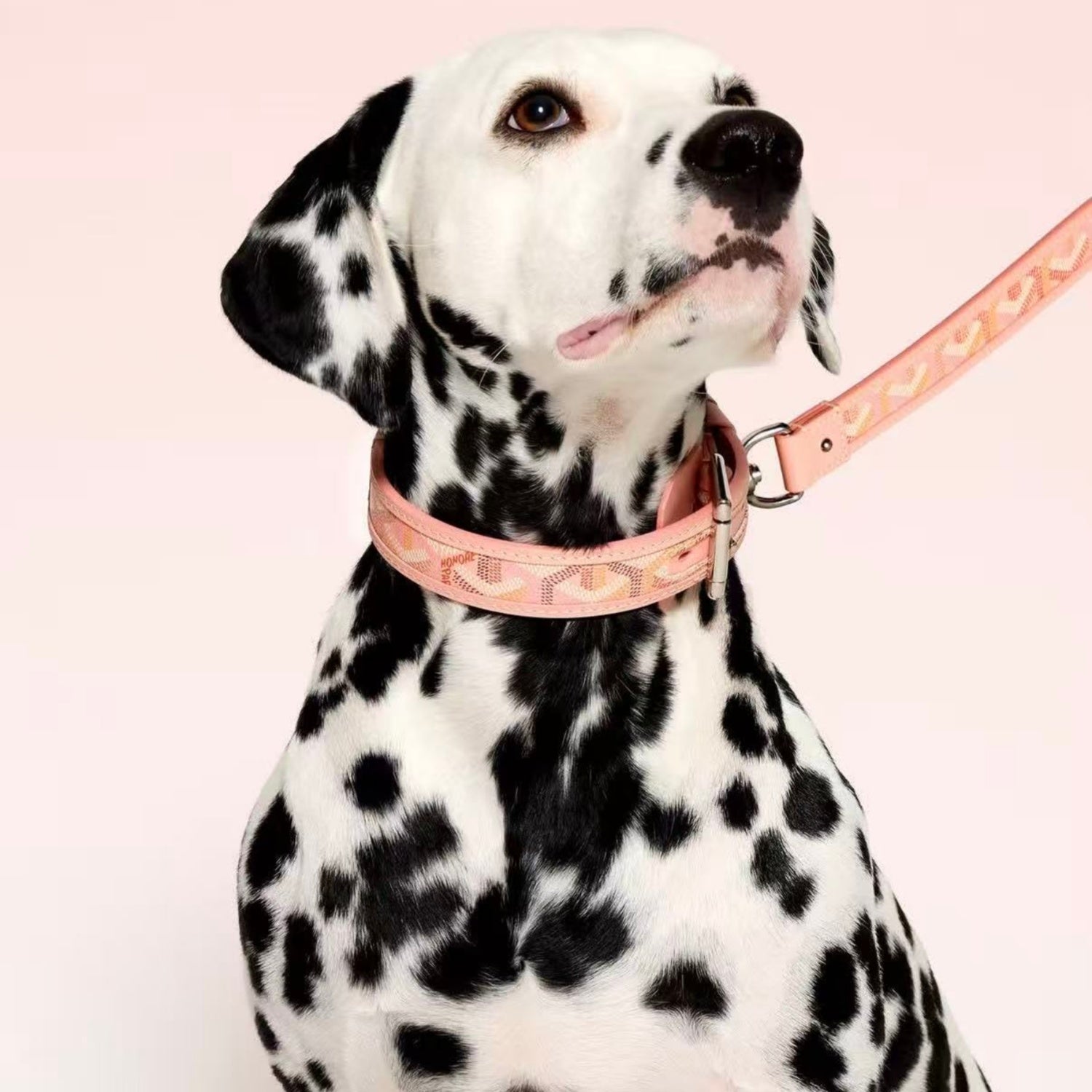 GOYARD DOG COLLAR AND LEASH 2.0