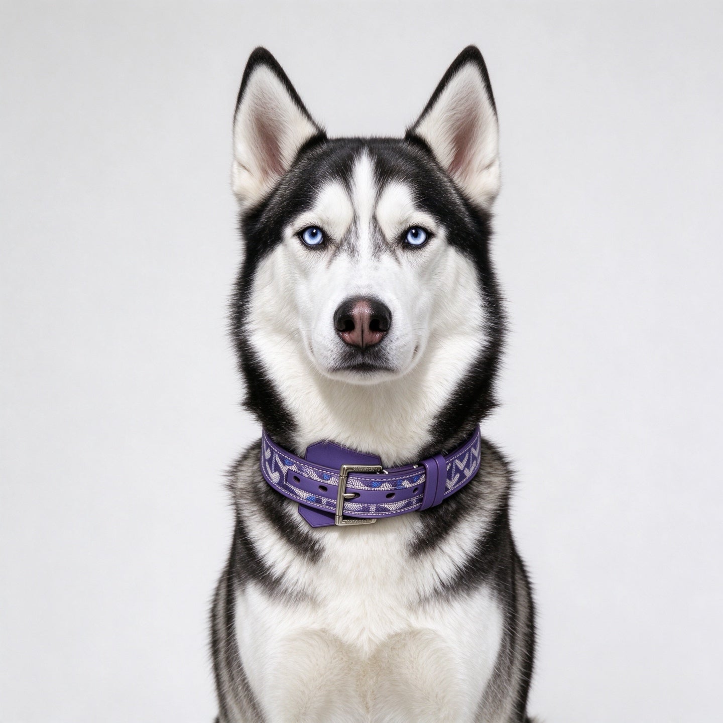 GOYARD DOG COLLAR AND LEASH 2.0