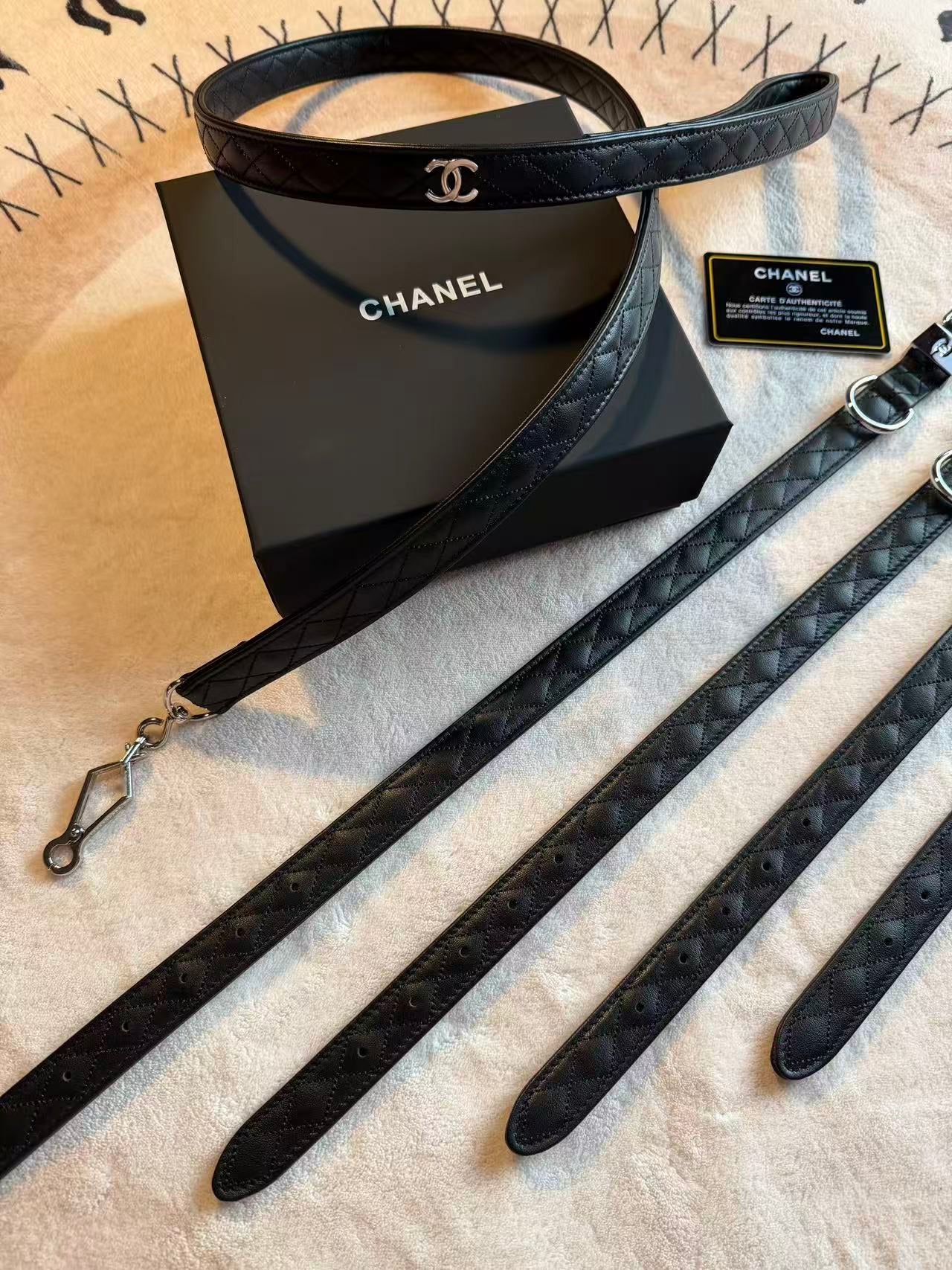 COCO DOG COLLAR AND LEASH