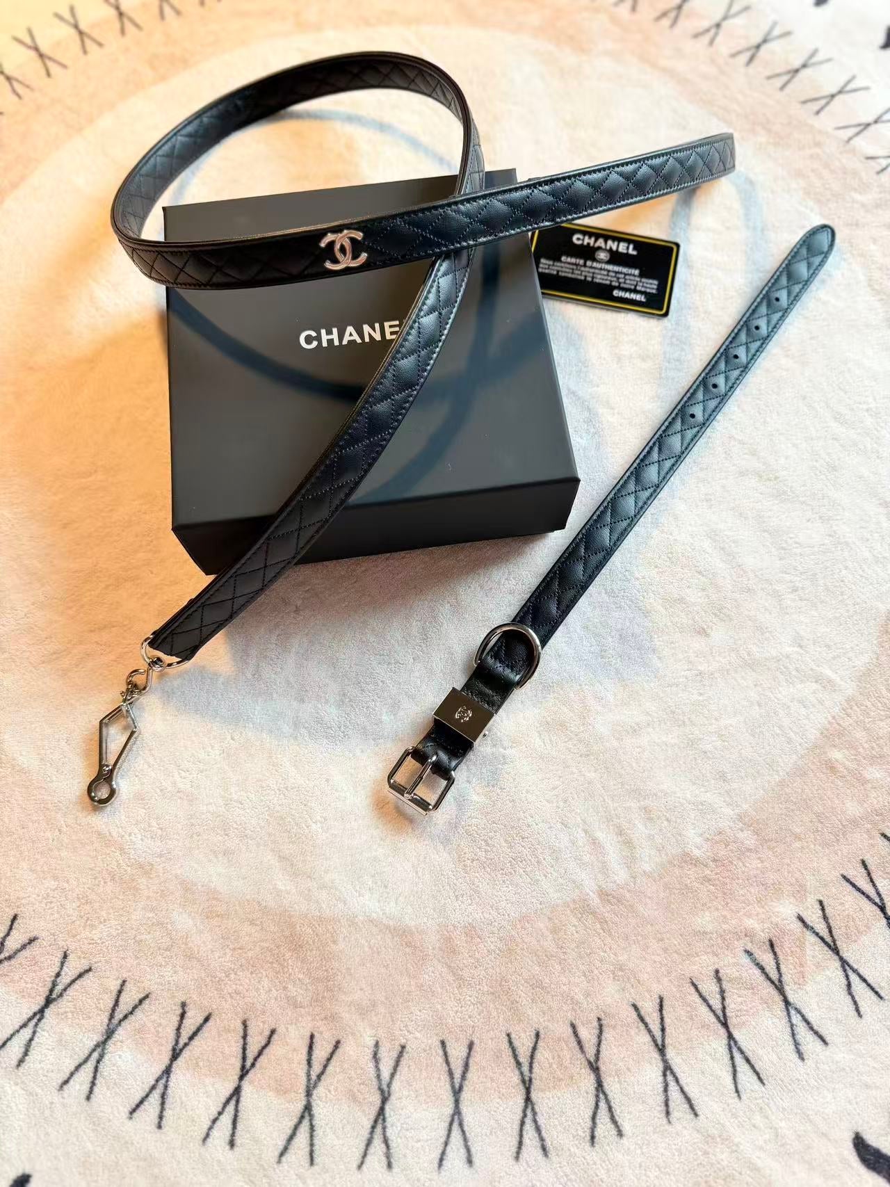 COCO DOG COLLAR AND LEASH