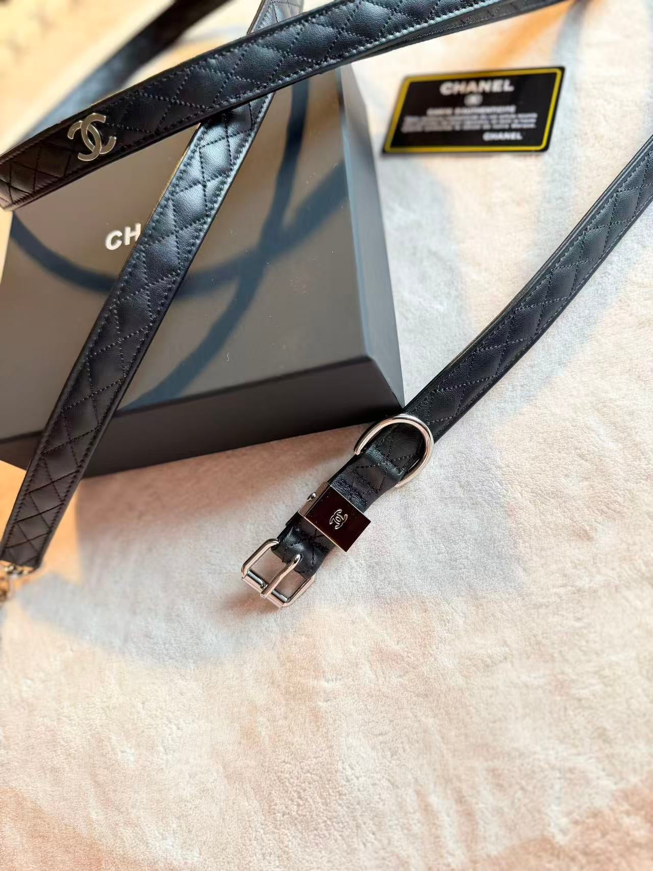 COCO DOG COLLAR AND LEASH