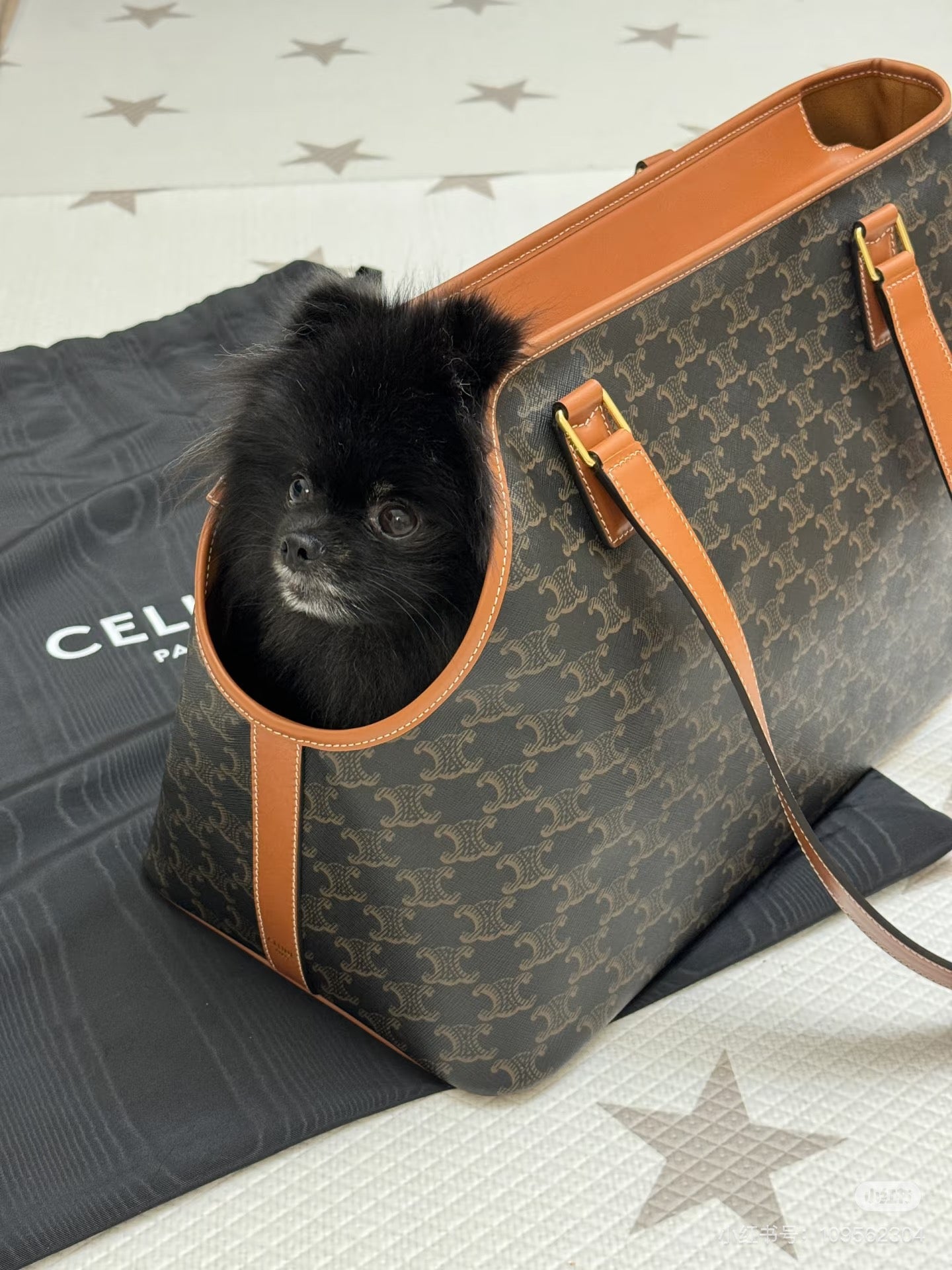 CELINE PET BAG