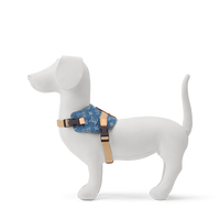 LV DOG HARNESS AND LEASH (BLUE DENIM)