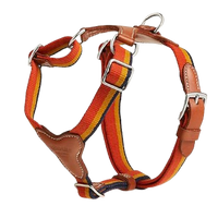 HERMES DOG HARNESS AND LEASH (STRIPES)