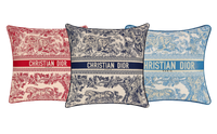 CHRISTIAN THROW PILLOW 2.0