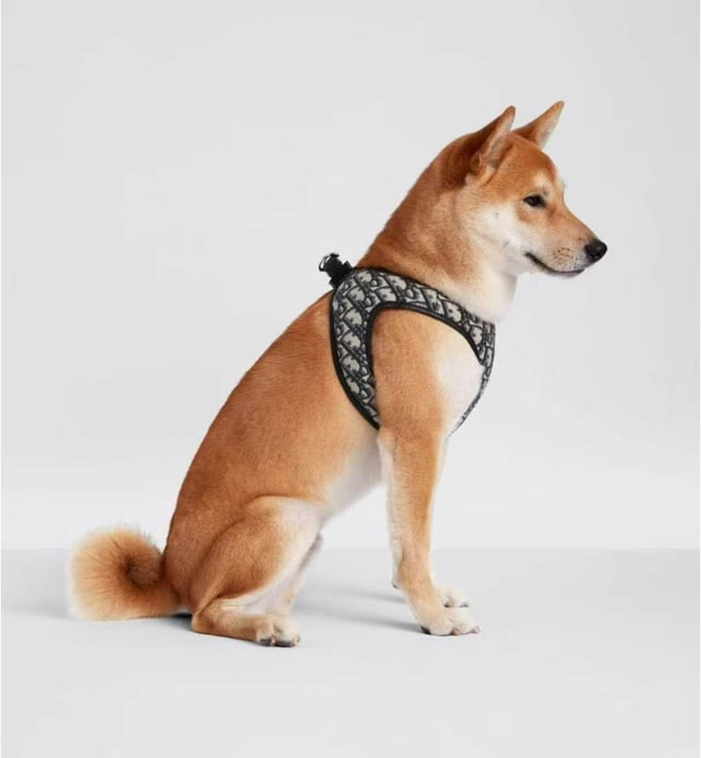 CHRISTIAN DOG HARNESS AND LEASH