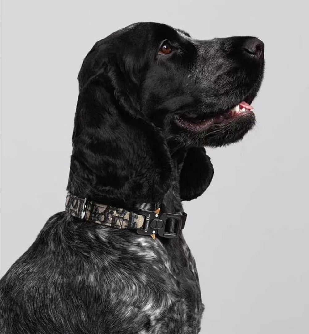 CHRISTIAN DOG COLLAR AND LEASH