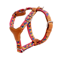 HERMES DOG HARNESS AND LEASH (TRIANGLES)