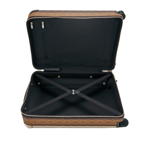 CUSTOM NIGO DUCK CABIN 37L HORIZON 55 SUITCASE