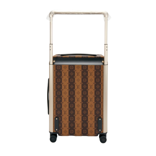 CUSTOM NIGO DUCK CABIN 37L HORIZON 55 SUITCASE