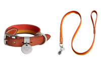 HERMES DOG COLLAR AND LEASH (STRIPES)
