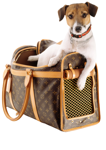 CUSTOM LV PET BAG
