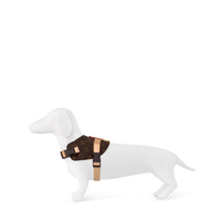 LV DOG HARNESS AND LEASH (BROWN)