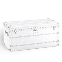 CUSTOM LV WHITE TRUNK