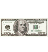 100 DOLLAR BILL RUG
