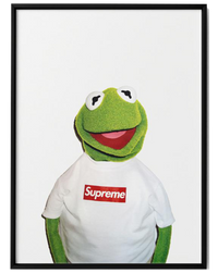 "KERMIT THE FROG" WALL FRAME
